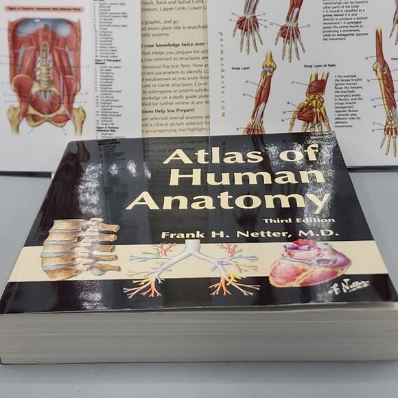 Atlas of Human Anatomy by Frank H. Netter & Anatomy Interactive CD - Picture 10 of 10